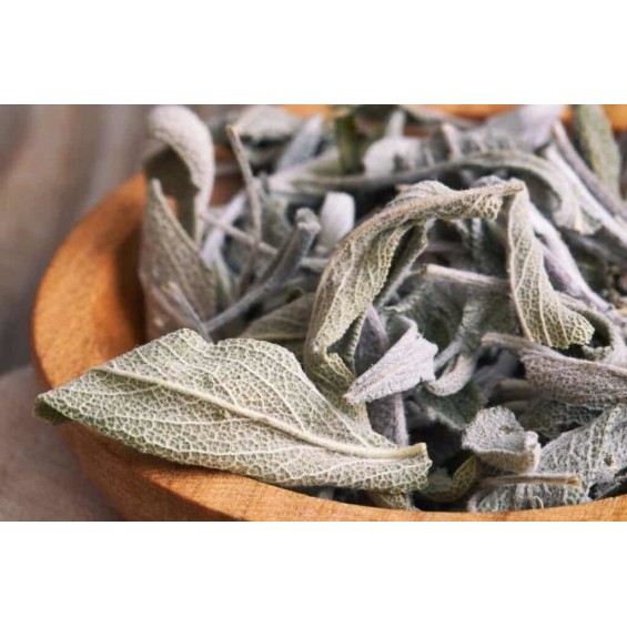 Adaçayı 100 gr Adaçayı 100 gr